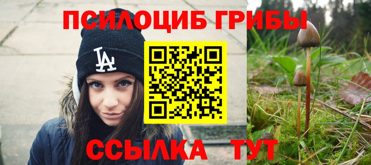 Галлюциногенные грибы мицелий Георгиевск